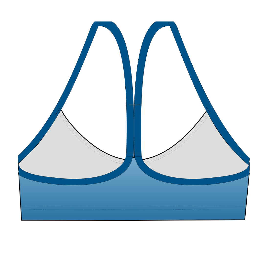 SHADY HOLLOW STINGRAYS CUSTOM WOMEN'S BIKINI SWIMSUIT TOP
